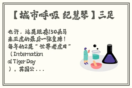 流氓app软件下载免费下载大全